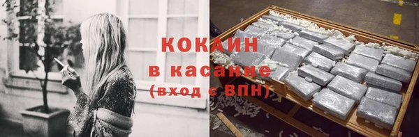 гидропоника Ладушкин