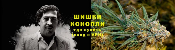 ГАЛЛЮЦИНОГЕННЫЕ ГРИБЫ Лагань