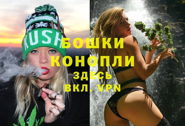 гидропоника Ладушкин