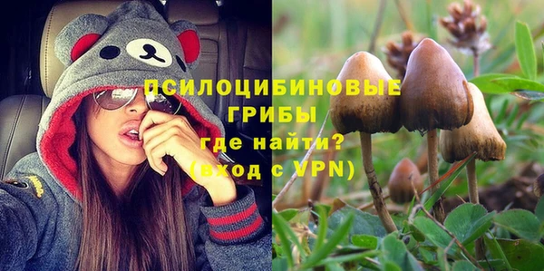 стафф Лабытнанги