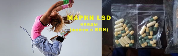 ГАЛЛЮЦИНОГЕННЫЕ ГРИБЫ Лагань