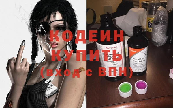 ГАЛЛЮЦИНОГЕННЫЕ ГРИБЫ Лагань