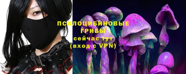 стафф Лабытнанги
