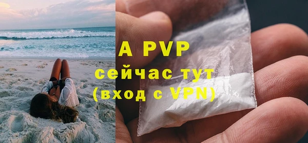 ГАЛЛЮЦИНОГЕННЫЕ ГРИБЫ Лагань