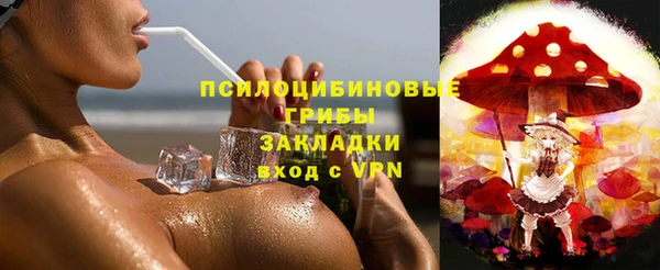 стафф Лабытнанги