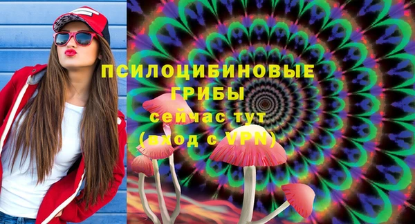 стафф Лабытнанги