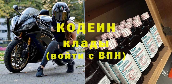 ГАЛЛЮЦИНОГЕННЫЕ ГРИБЫ Лагань